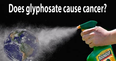 Does Glyphosate Cause Cancer? - EcoWatch