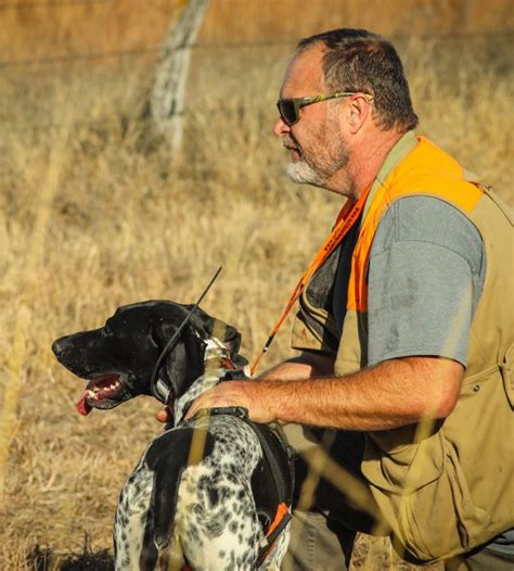 Training Pheasant Dogs a Guide Book to Better Practices