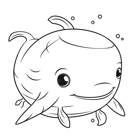 Baby Sea Animal Coloring Pages