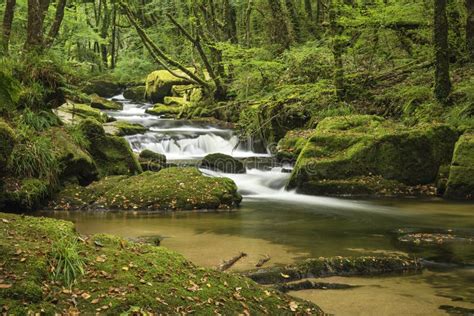 Stunning Landscape Iamge of River Flowing through Lush Green for Stock Photo - Image of ...