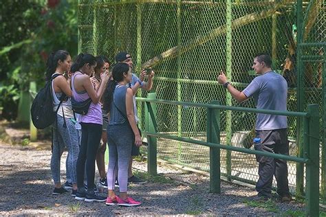 Wildlife Rescue Center Tour In Costa Rica: Triphobo