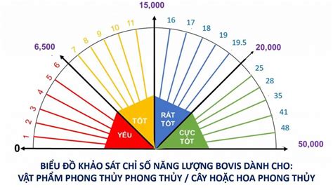 Chỉ Số Năng Lượng Sinh Học Bovis - Mãi đẹp xinh