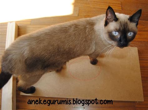 Anekegurumis: Poste rascador para gatos / Cat scratching post