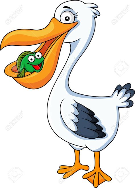 pelican cartoon clipart 10 free Cliparts | Download images on ...