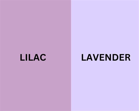 Lilac vs Lavender : What's The Difference? - Nourish Your Glow