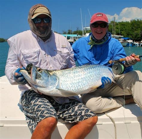 Tarpon season in the island of Puerto Rico - Articles | Fly dreamers