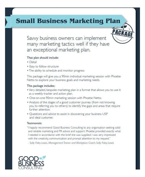 10+ Small Business Marketing Plan Templates - DOC, PDF