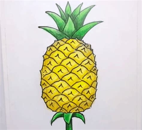 How to draw a pineapple step by step for kids pineapple 3dvkarts – Artofit