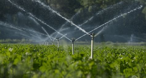 How Does Irrigation Work In Agriculture? – Videodrom