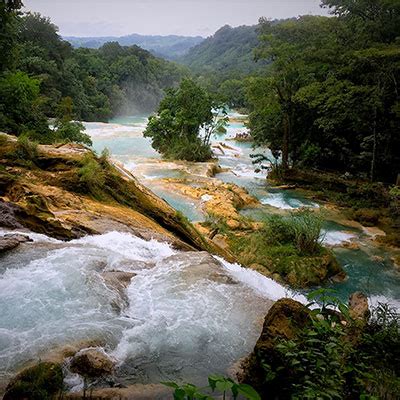 Ecosistemas de México | Biodiversidad Mexicana