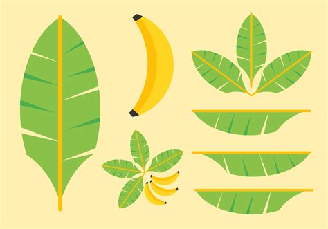 Banana leaf clipart - Clipground