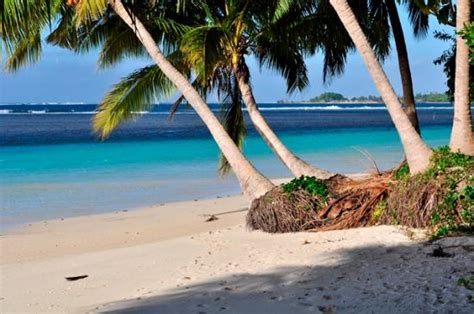 THE 10 BEST Samoa Beach Resorts 2023 (Prices) - Tripadvisor