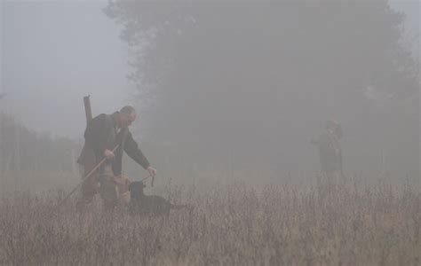 Shooting in bad weather - some valuable advice from Sporting Gun