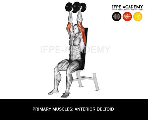 Dumbbell Shoulder Press - IFPE Academy