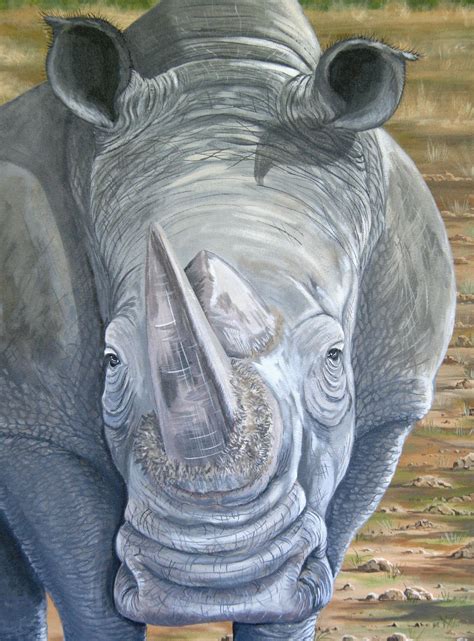 Rhino Art .. by Fiona Groom .."Hey Watcha Lookin At" acrylic on canvas ...