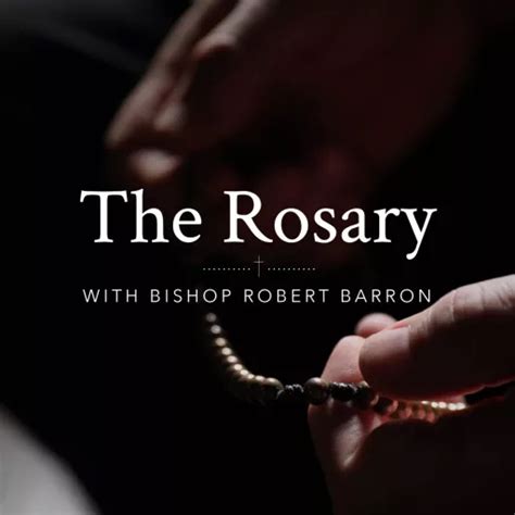 The Rosary with Bishop Robert Barron - The Joyful Mysteries