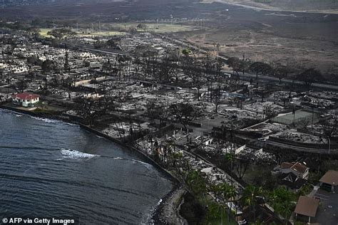 Miraculously Preserved: Surprising Sight from Maui Wildfire