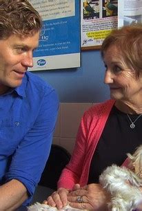 Bondi Vet: Season 8, Episode 11 | Rotten Tomatoes