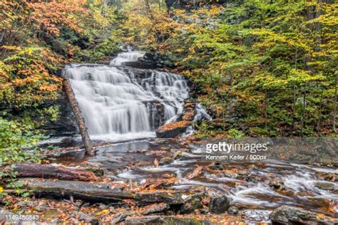 16 Mohican State Park Stock Photos, High-Res Pictures, and Images ...