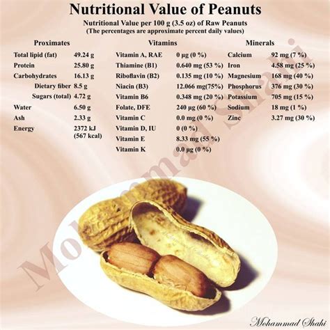 Nutritional Value of Peanuts #Peanut #Peanuts #NutritionalValue #Nuts #Nutrients #Niacin #Folate ...