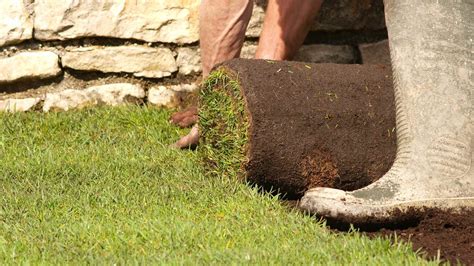 Turf and Artificial Turf Installation, Orleans, ON