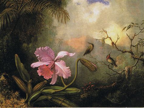 TROPICALIZER: Martin Johnson Heade // Orchids and Hummingbirds