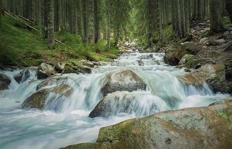 Prut river springs from Hoverla Peak, National Park, Ukraine. Fa ...