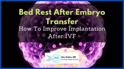 Bed Rest After Embryo Transfer: How to Improve Implantation After IVF ...