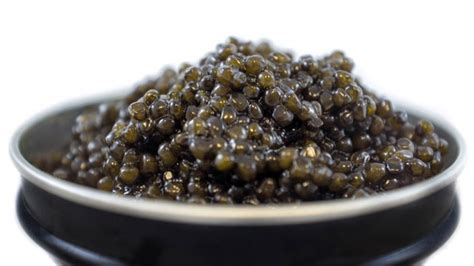 18 Different Types of Caviar (From Around the World) – DifferentTypes.net