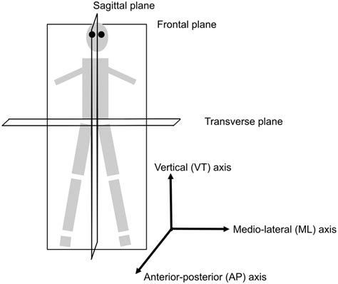 Axes of rotation and anatomical planes. The frontal plane (coronal... | Download Scientific Diagram