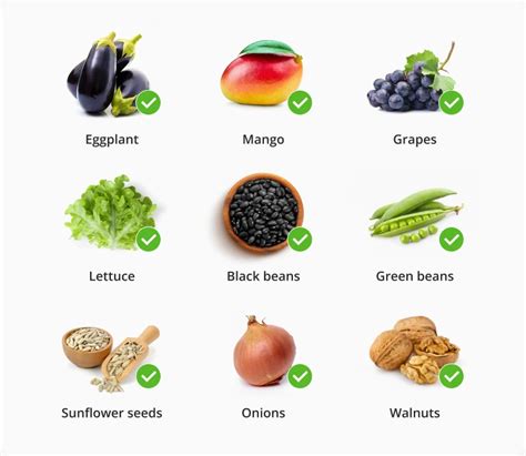 DASH Diet Food List (+ Shopping List and PDF) - Listonic