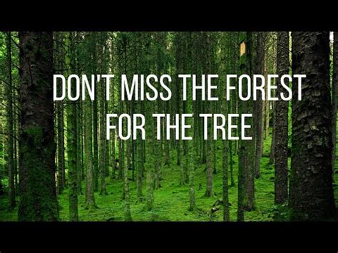 Don't Miss the Forest For the Tree - YouTube