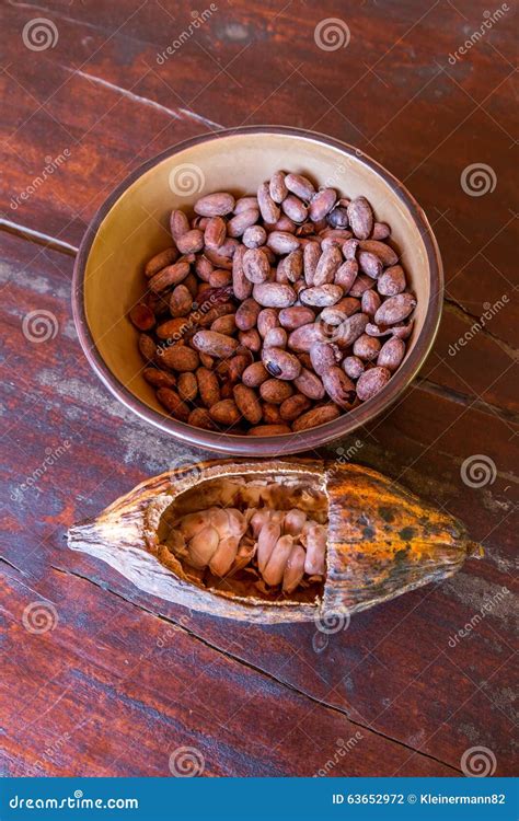 Fruit and Seeds of the Cacao Tree Stock Photo - Image of dried, closeup: 63652972