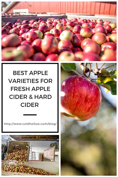 17 Best images about Apples on Pinterest | Apple cider, Charts and Recipes