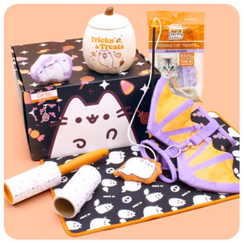 Past Boxes | Pusheen Box