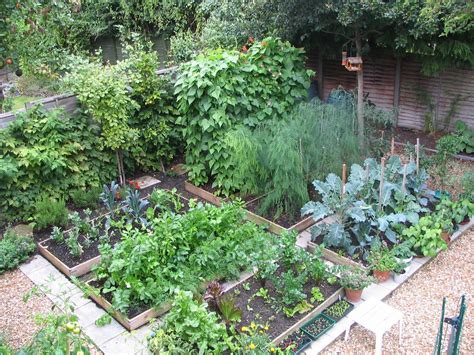 Mark's Veg Plot: Plot layout