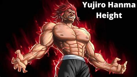 Yujiro Hanma Height, Voice Actor, Father And How Tall Is Yujiro Hanma ...