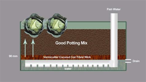 Create a Wicking Bed Garden for Easy Vegetable Growing powered by Fishwater | Ecofilms