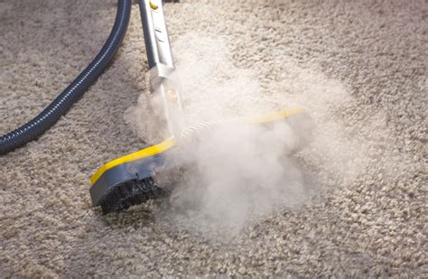 Best Carpet Steamer – The Best Carpet Steamer For Your Floor - Cottier ...