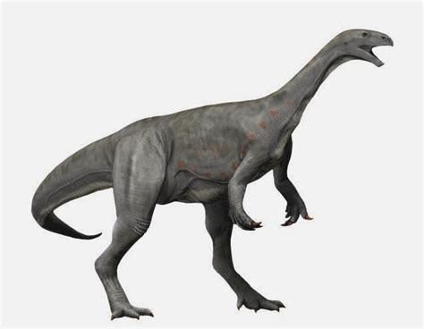 Triassic Dinosaurs List with Pictures & Facts: Triassic Period Dinos