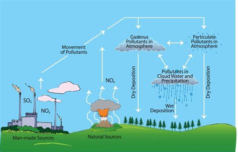 How Does Acid Rain Affect the Environment | Earth.Org