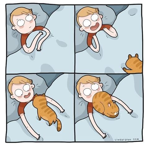 Every Cat Owner's Life Perfectly Illustrated In 40 Funny Comics | DeMilked