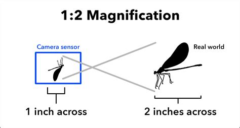 What Is Total Magnification