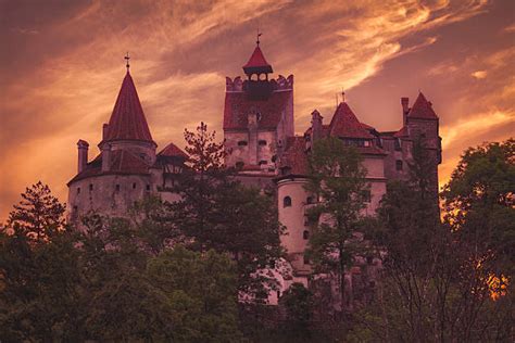 4,700+ Vampire Castle Stock Photos, Pictures & Royalty-Free Images - iStock