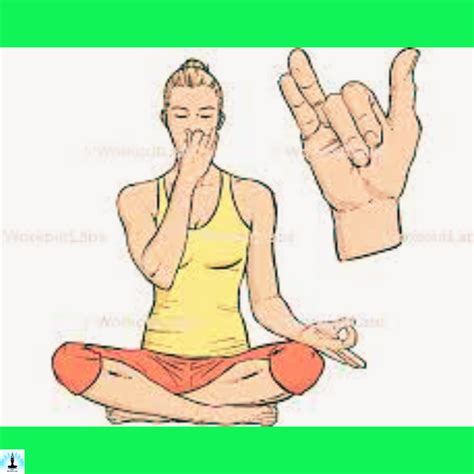 8 Top Benefits of Nadi Shodhan Pranayama | 5 Best Step-by-Step ...