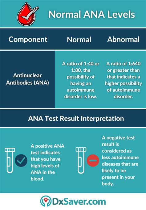 Antinuclear Antibodies or ANA Test I Know More About Results & Test ...