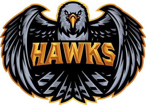 Hawks - Liquipedia Rocket League Wiki