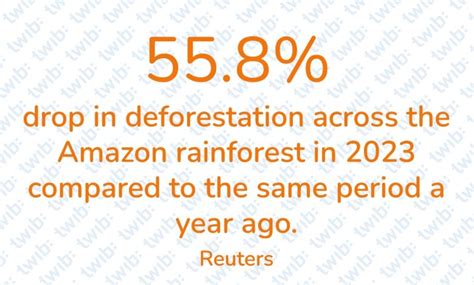 55.8% drop in deforestation across the Amazon rainforest in 2023 compared to the same period a ...