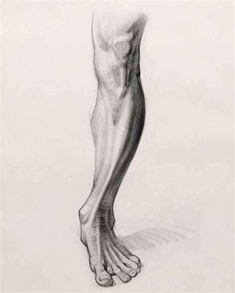 Drawing the Leg, Stan Prokopenko | Anatomy art, Human anatomy drawing ...