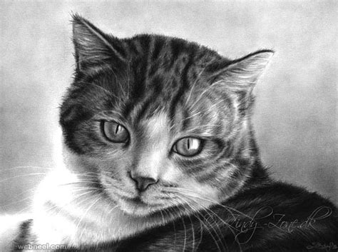 30 Beautiful Cat Drawings - Best Color Pencil Drawings and Paintings ...